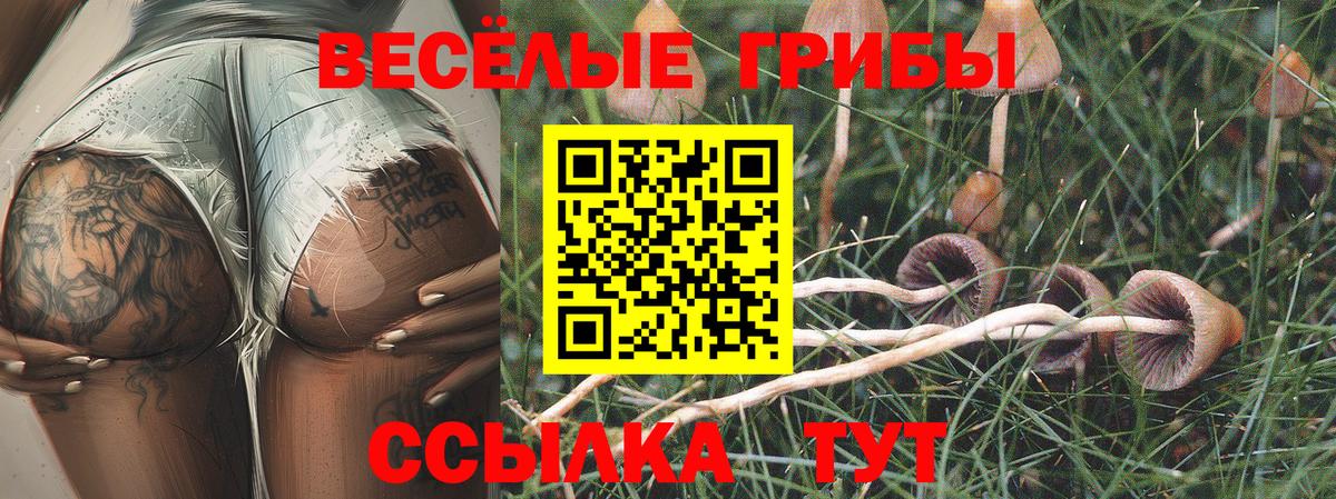 Ефремов  Псилоцибиновые грибы GOLDEN TEACHER  Вход с VPN 