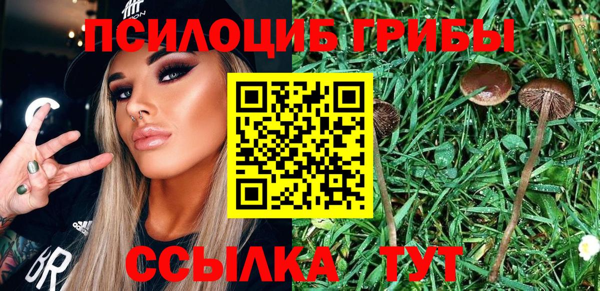 Галлюциногенные грибы прущие грибы Ефремов